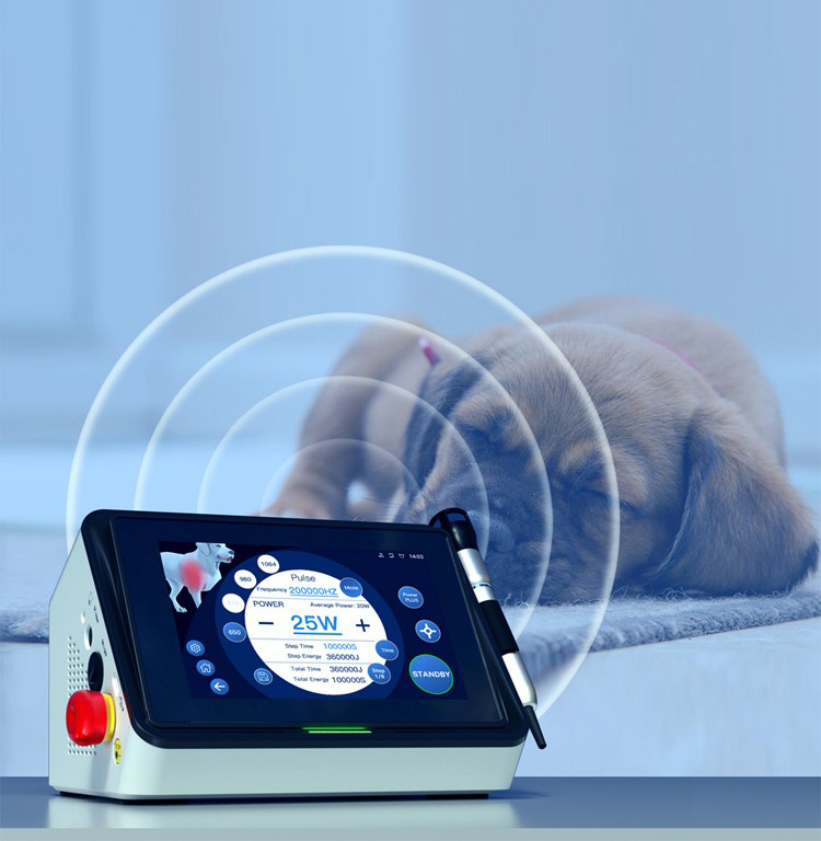 veterinary therapy laser