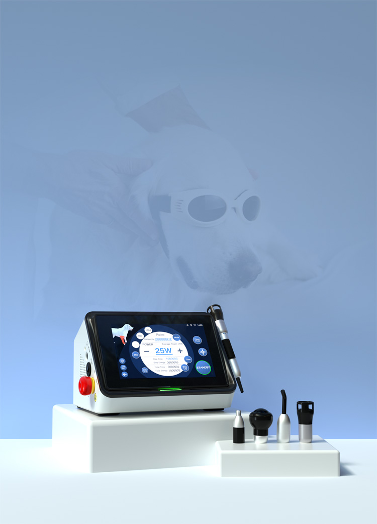 veterinary laser therapy equipment