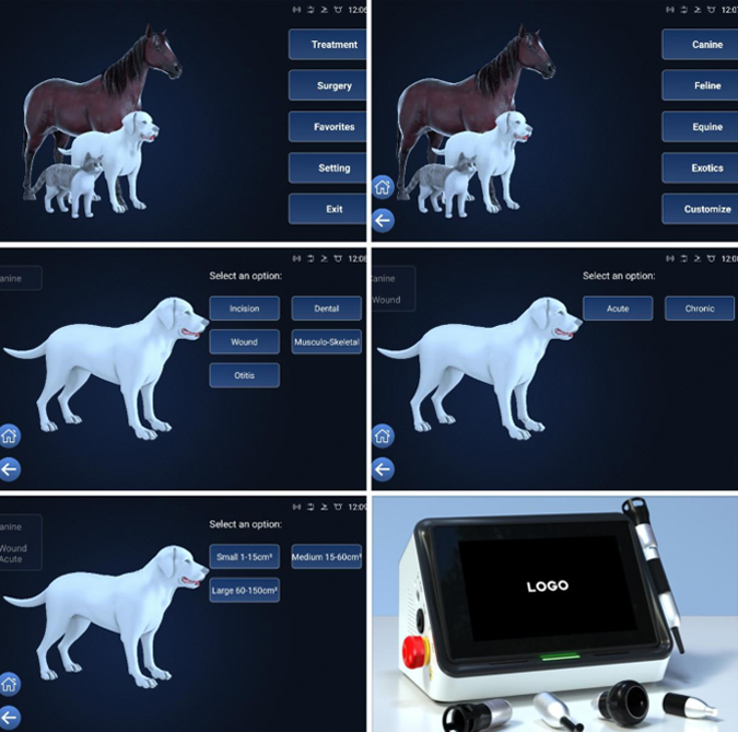 veterinary laser