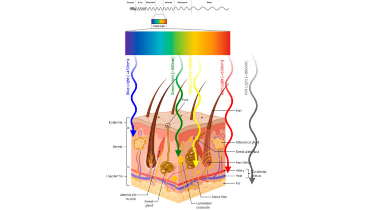 What Is the Photodynamic Therapy(PDT)?