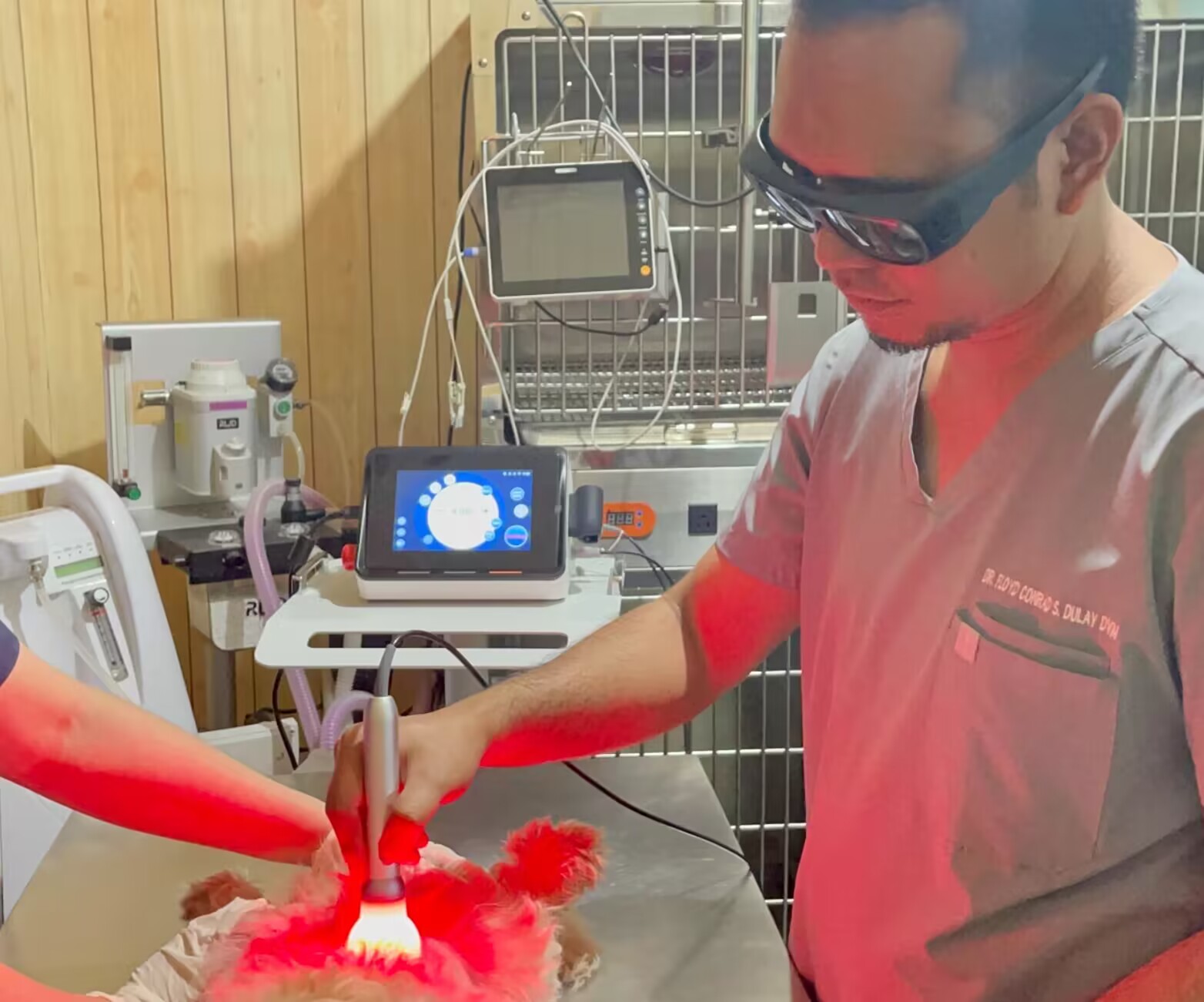 Should laser therapy veterinary medicine first instead of treatment direct?