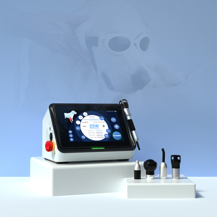 veterinary therapy laser