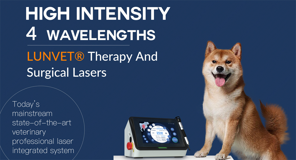 veterinary therapy laser