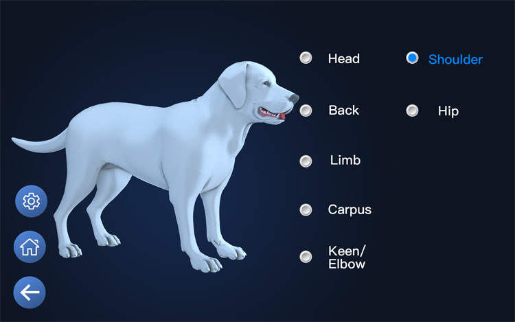 veterinary therapy laser